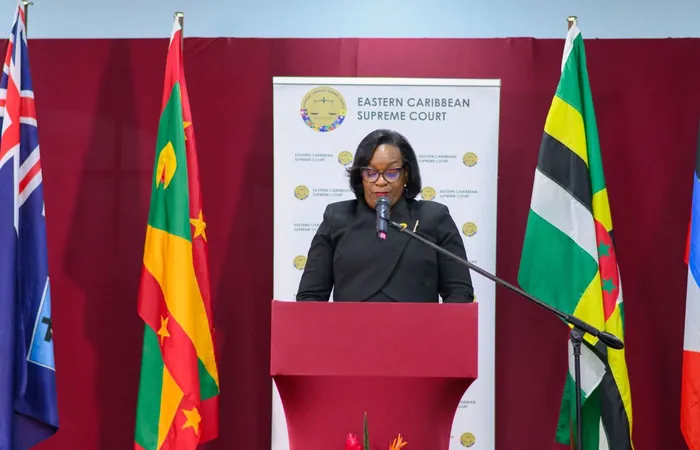 Speaker at the lectern during the ECAWJ launch