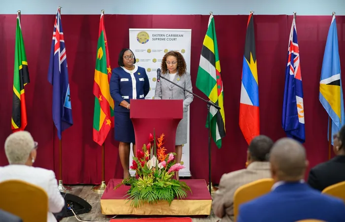 Speakers at the ECAWJ launch on 5 March 2024 before the flags of the Member States