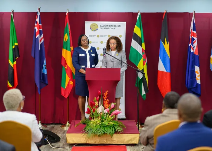 Speakers at the ECAWJ launch on 5 March 2024 before the flags of the Member States
